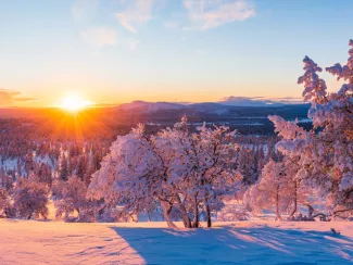 Winterlandschaft am Morgen