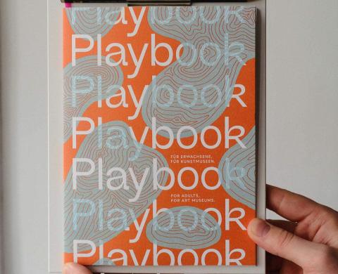 Masterarbeit Playbook Pauilne Dreyer